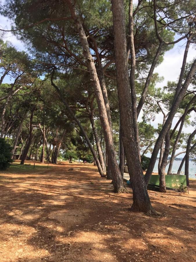 Valentina Apartment Novigrad  Ngoại thất bức ảnh
